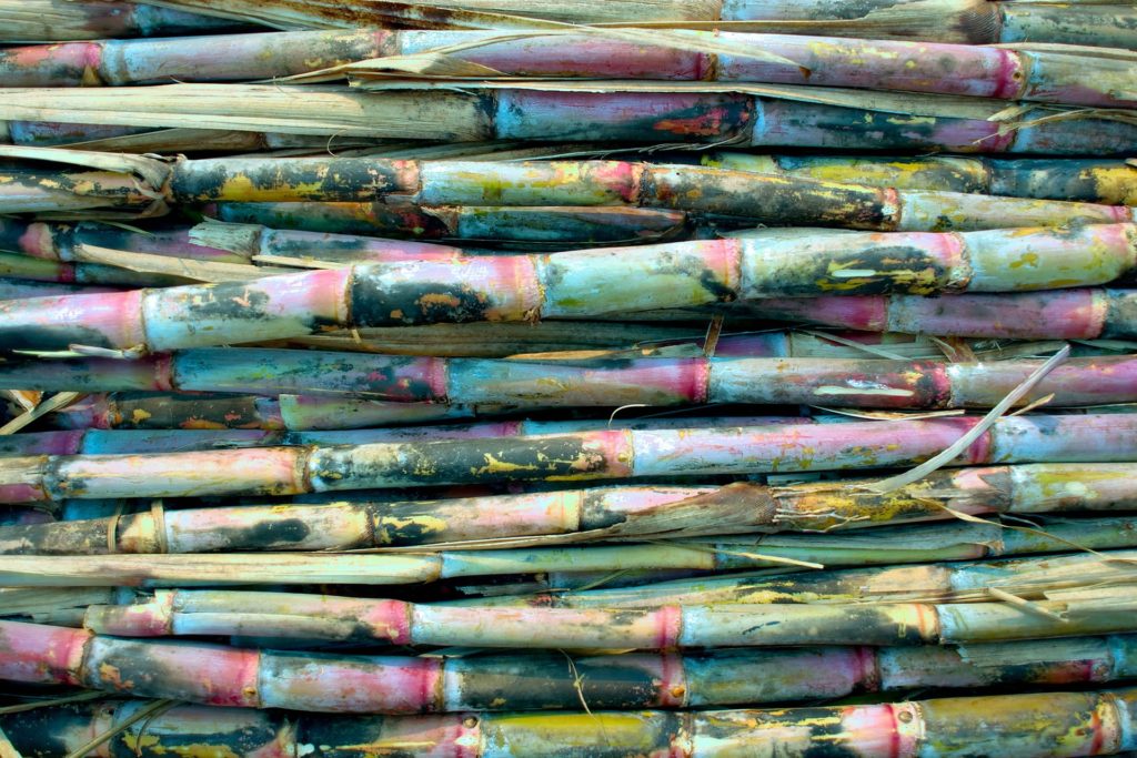 Colourful sugarcane sticks stacked up.