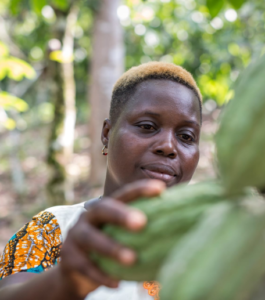 Rosine Bekoin is a mum of five, cocoa farmer and member of CAYAT co-operative in Côte d’Ivoire. Rosine owns and runs her 2.5-hectare farm, which was passed to her from her mother. Normally it is men who own farms and earn the income from them. Rosine first sold her cocoa as Fairtrade in 2016.
