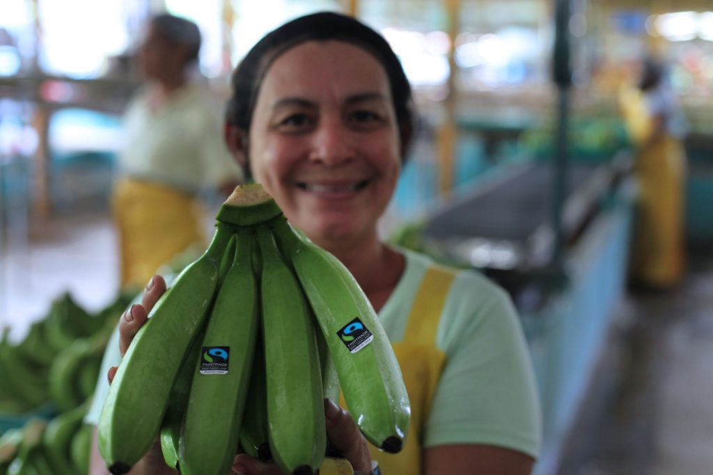 Cedoin Quiroz Saldania, COOPETRABASUR member, places the Fairtrade stickers on banana hands. COOPETRABASUR, Corredores, Puntarenas, Costa Rica.