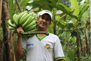 Image of Wilson Fabian Sánchez Atariguana holding bananas