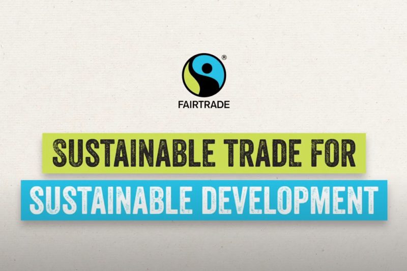 Sustainable Development Goals Video