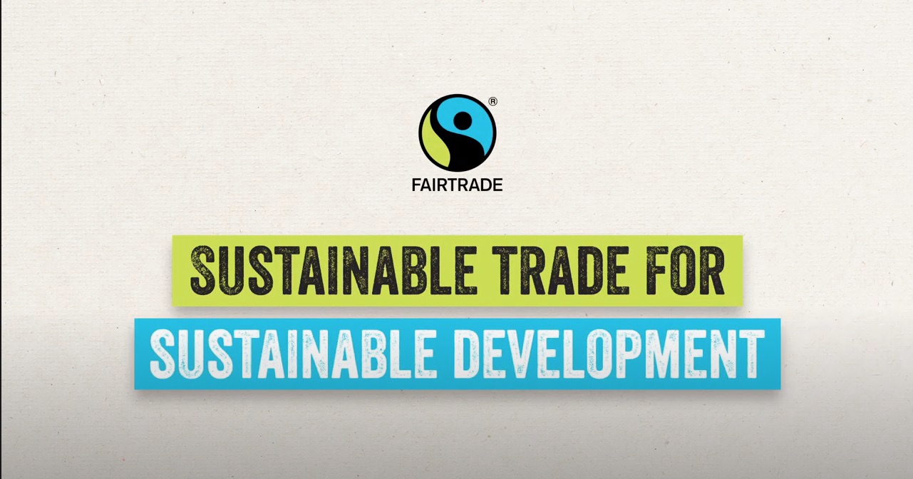 Sustainable Development Goals Video