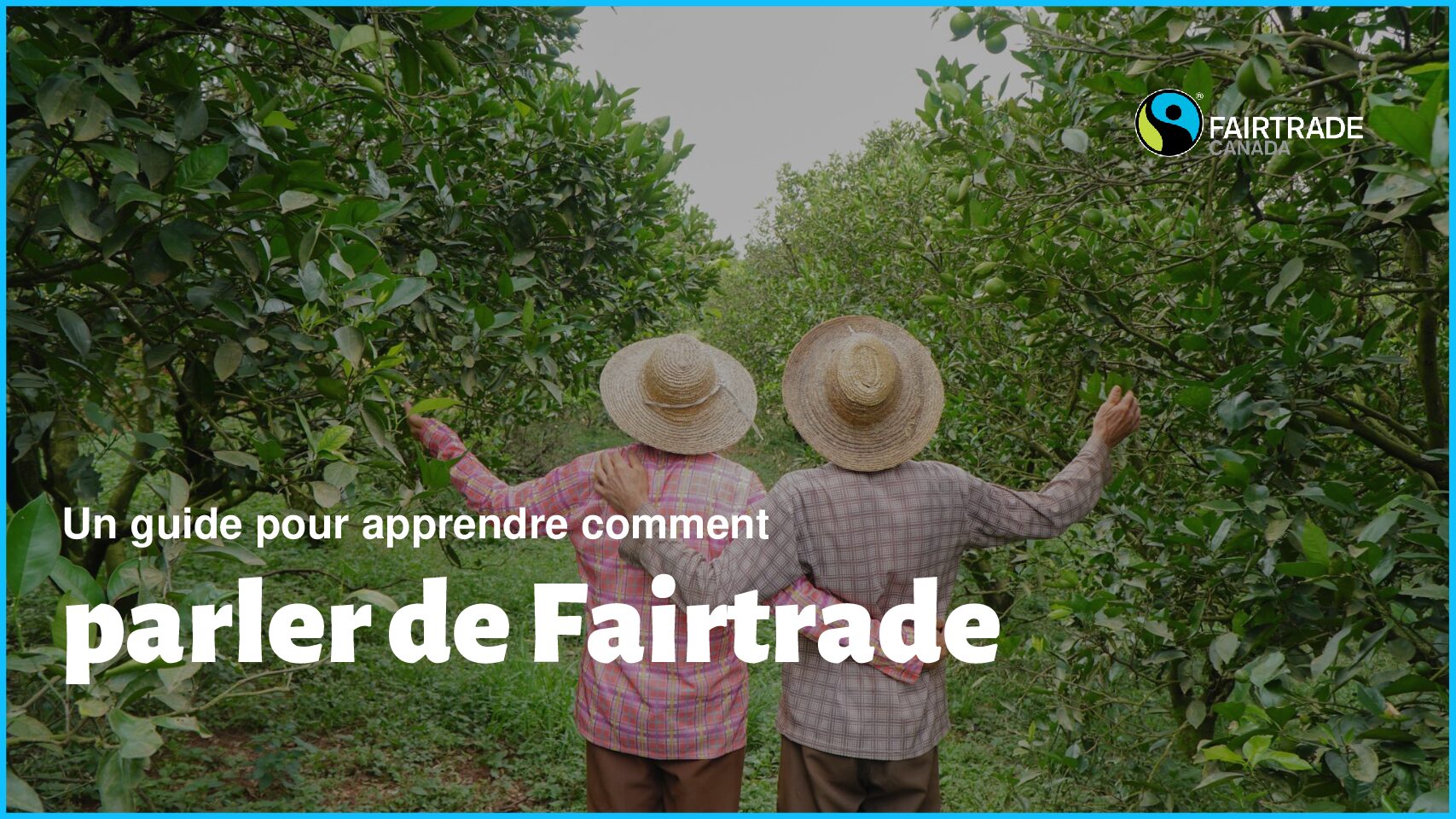 Aperçu sur le thé Fairtrade